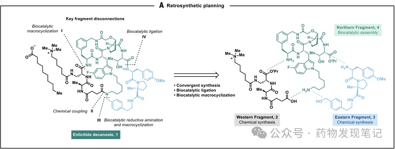 Lata biocatalytic membolehkan pembuatan Enlicitide peptida makrosiklik