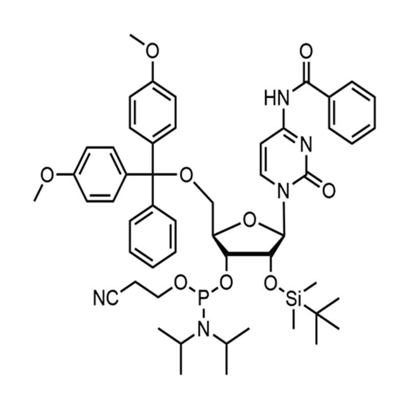 Bz-rC Fosforamide